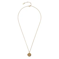 Ancient Wings Locket
