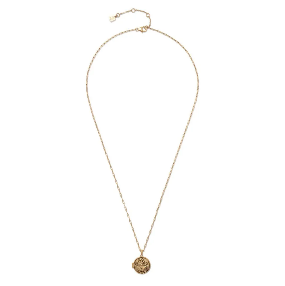 Ancient Wings Locket