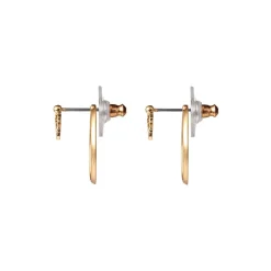 Oval Picture Frame Ear Jacket